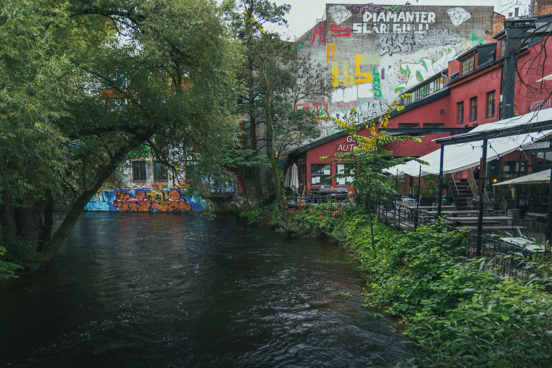 Grunerlokka